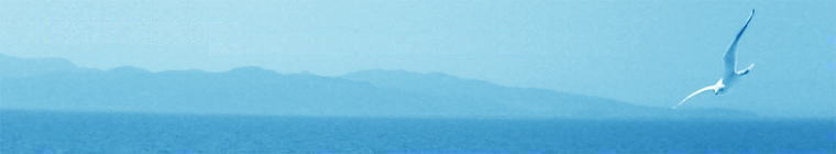 �z�[���y�[�W �^�C�g��